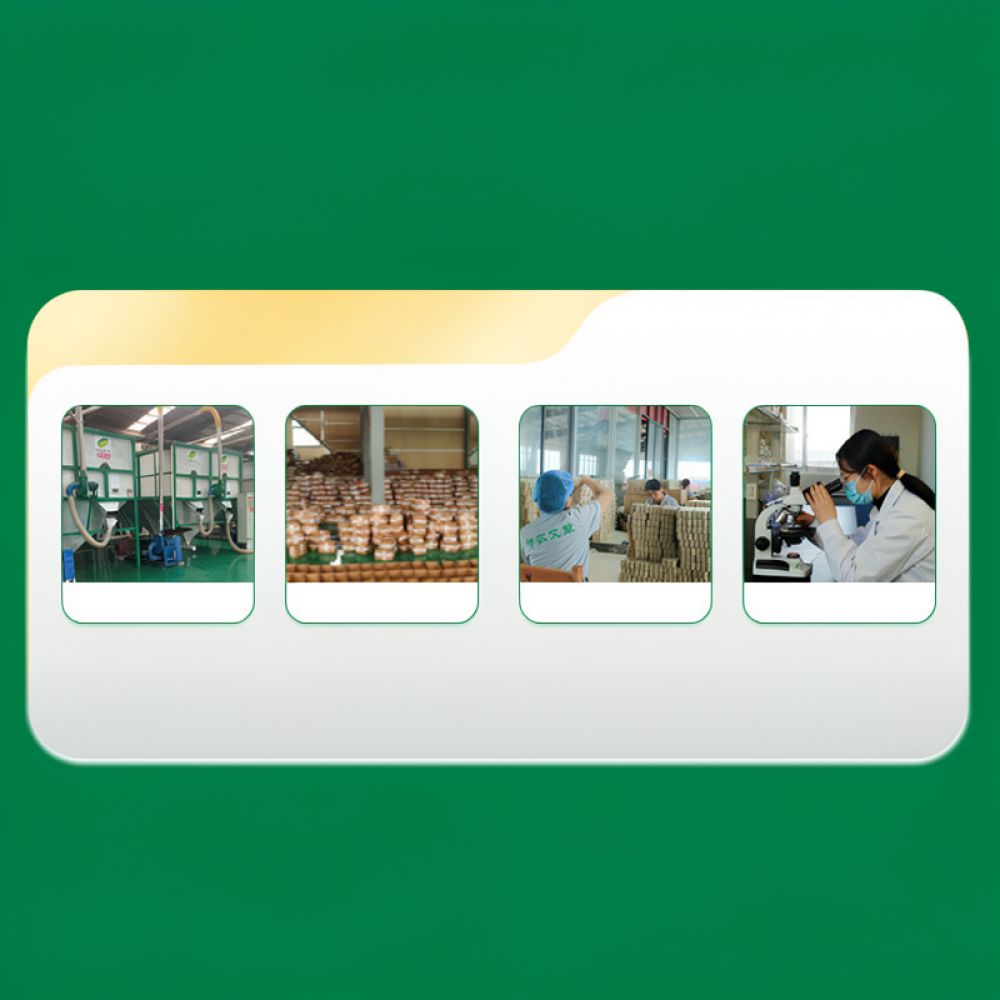 연기가 나지 않는 탄화 처리된 쑥 스틱, 션농 허브 쑥 - Therapy Health And Wellness 리뷰 및 가격